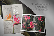 Bird of Paradise patterns, a Pattern Graphic by Bigio Designs (Thumbnail 6 of 7)