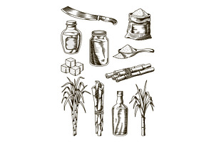 Cane sugar. Set of product, a Food Illustration by Things for designers