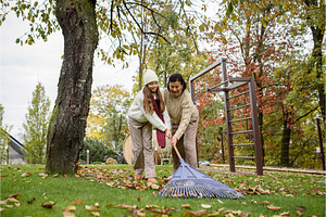 Raking autumn leaves in garden.