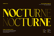 GC Blanca – Serif Elegant Character, a Serif Font by Glyphonic (Thumbnail 3 of 14)