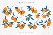 Orange Cliparts, Frames & Patterns, a Decorative Illustration by Panna Limon Store (Thumbnail 3 of 11)