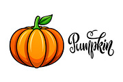 Happy Thanksgiving Day Set, a Seasonal Illustration by Finevector (Thumbnail 5 of 5)