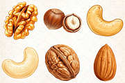 Nuts Watercolor Clipart, an Illustration by Libby Wishes (Thumbnail 5 of 6)