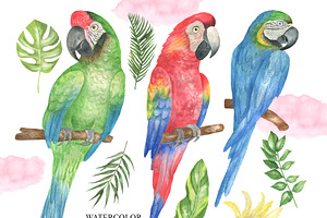 Watercolor Tropical Parrots