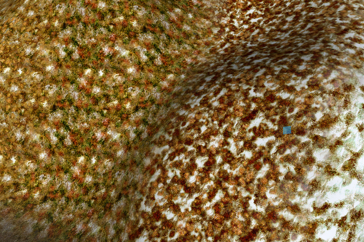 AUTUMN AND WINTER TEXTURE PACK, a Textures & Material 3D Model by Beatheart Creative Studio (Photo 49 of 58)