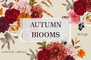 Autumn Blooms Watercolor Flowers, a Seasonal Illustration by DiashaArt (Thumbnail 1 of 11)