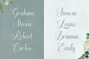 Enchanting Script Font