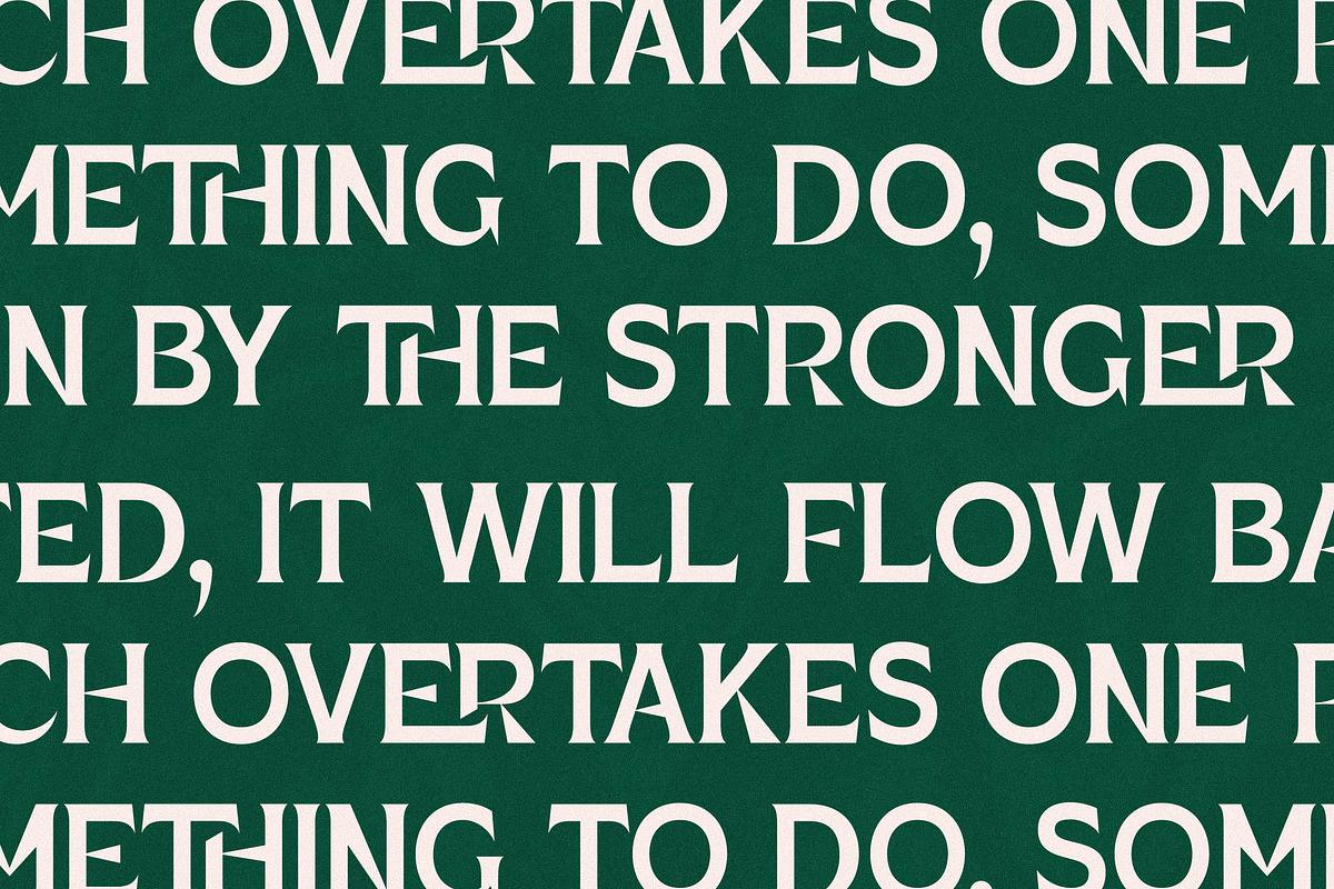 Porladek Display Serif Font, a Serif Font by Storytype Studio (Photo 8 of 15)
