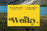 Broftin Resort Bold Serif Display, a Serif Font by timelesstype.co (Thumbnail 6 of 20)