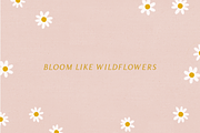 Apricot - Handlettered Serif Font, a Serif Font by Minna May Design (Thumbnail 7 of 10)
