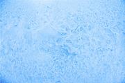 Abstract Blue Ice Textures Set, a Nature Photo by kisikoida (Thumbnail 9 of 13)