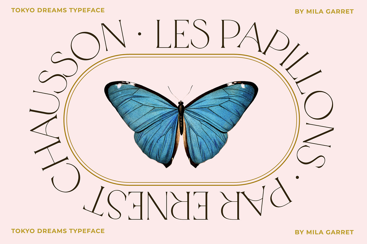 Tokyo Dreams Display Ligature Serif, a Serif Font by Mila Garret (Photo 21 of 28)