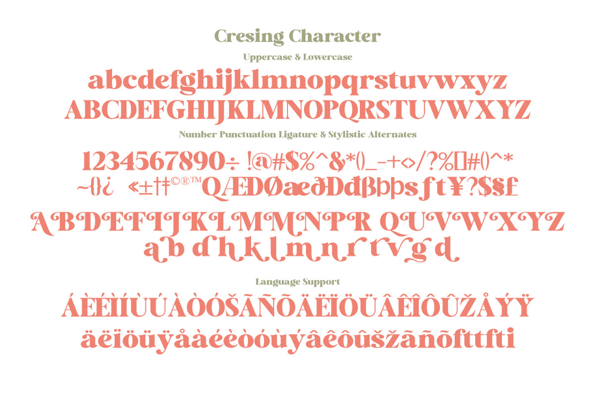 Cresing, a Serif Font by Gatype (Photo 8 of 9)