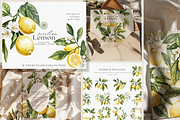 BUNDLE Watercolor Fruit and Flora, a Decorative Illustration by ThaismotaCreativeCo (Thumbnail 4 of 14)