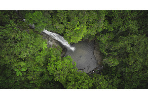 Aerial view of waterfall cascading, an Animal Photo by Goinyk