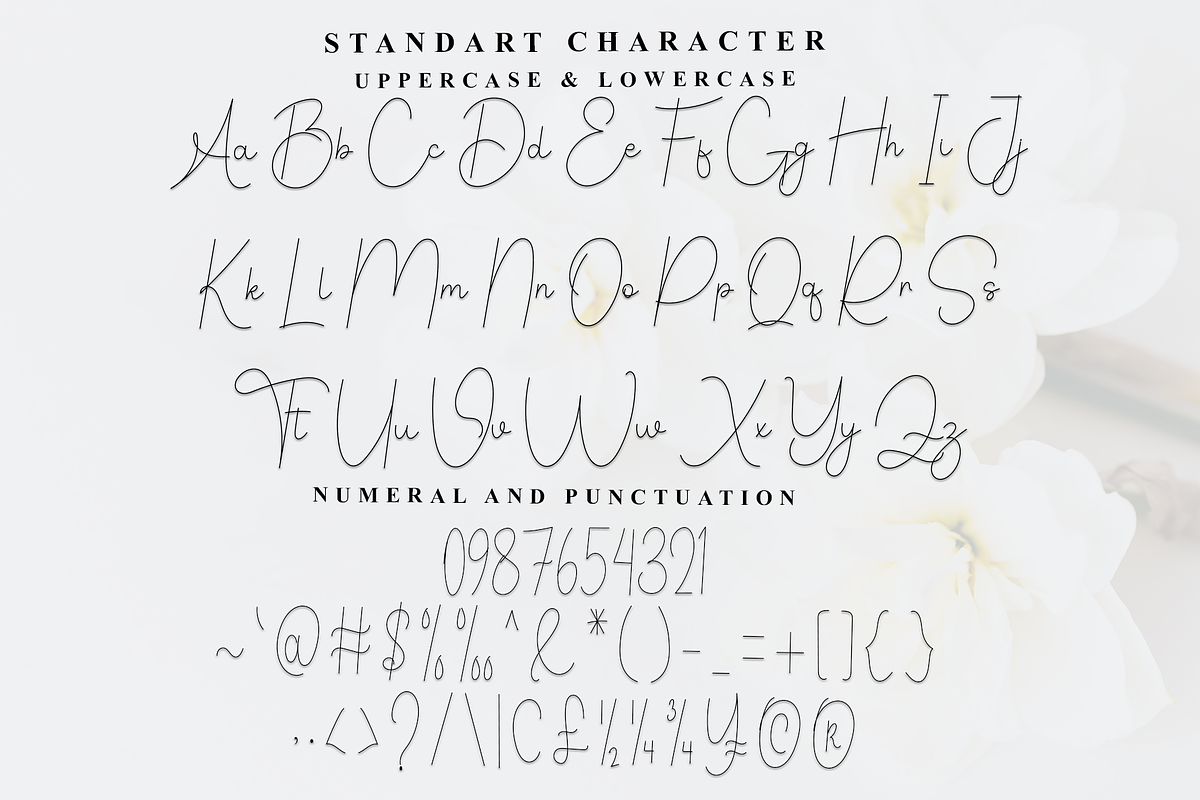 Valentine, a Handwritten Font by InermediaSTUDIO (Photo 2 of 8)