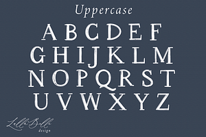 Toirneach A Rustic Serif Font