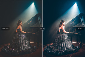 Concert Pro Lightroom Presets