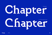 Eriega | Modern Tech Display, a Serif Font by Aluyeah Studio (Thumbnail 9 of 16)
