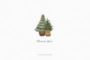Watercolor Christmas Pine Tree Clipa, an Illustration by Balada Digital Art (Thumbnail 6 of 6)