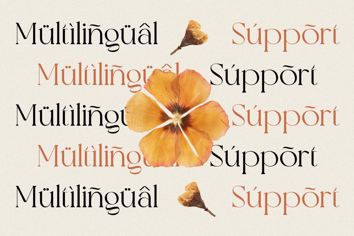 Valooron - Business Font, a Serif Font by RockboyStd (Photo 9 of 12)