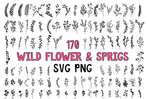 170 Wildflowers Line Art Botanicals