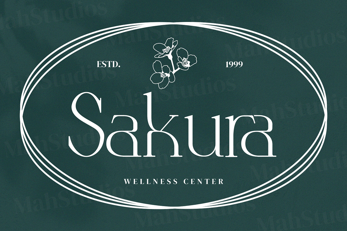 Anbittah Serif Fonts, a Serif Font by mahstudios (Photo 7 of 13)