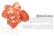 Rome | A Stunning Sans Serif, a Sans Serif Font by Jen Wagner Co (Thumbnail 5 of 8)