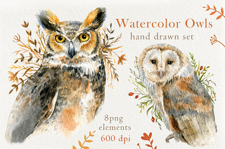 Watercolor Owls set