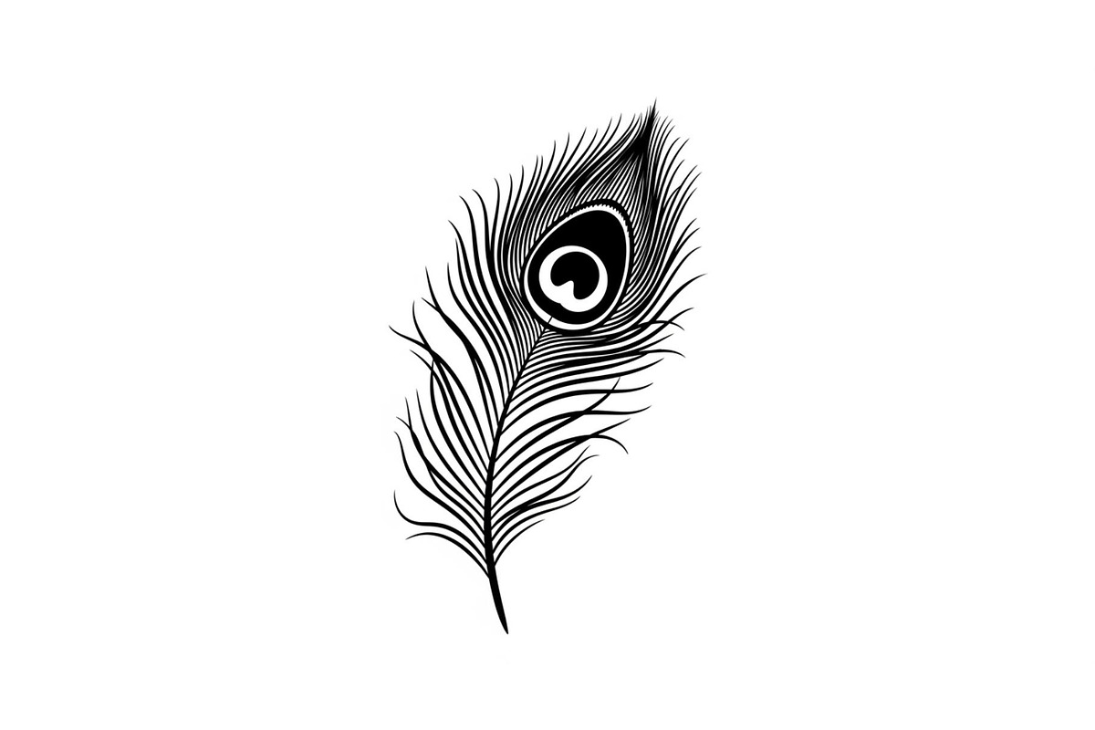 Peacock Feather Silhouette Bundle, an Illustration by jahid234 (Photo 29 of 31)