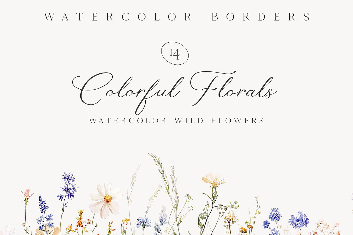 New! Wild Flowers Edition, a Seasonal Illustration by Isabelle Salem (Photo 40 of 155)