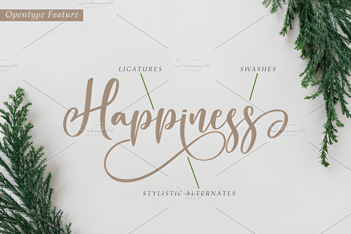 Wonderful Christmas Font, a Script Font by Coco Bloom (Photo 7 of 10)
