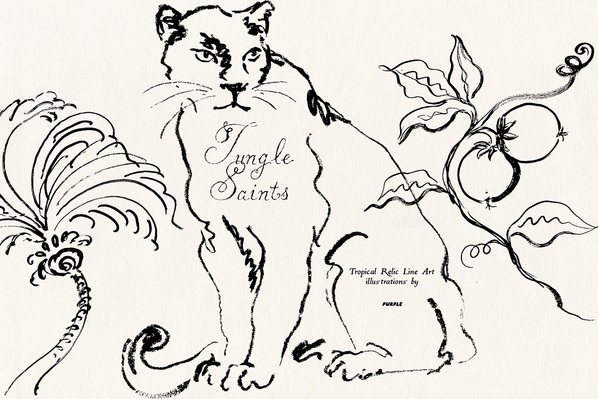 Jungle Saints: Tropical Line Art, an Object Illustration by Purple (Photo 7 of 15)