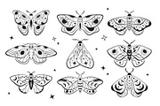 Celestial night moths, an Illustration by Cmeree (Thumbnail 2 of 3)