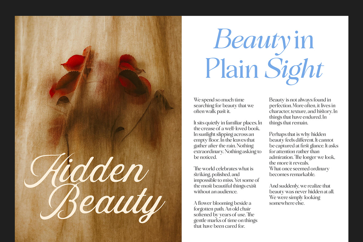 Cresilla Paramount - Font Trio, a Serif Font by Suza Studio (Photo 3 of 13)