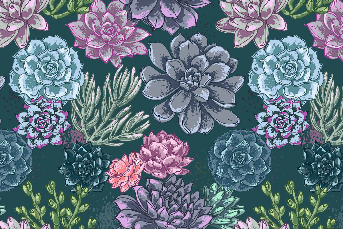 Succulents. Vector flowers, a Decorative Illustration by irina.vaneeva (Photo 2 of 5)