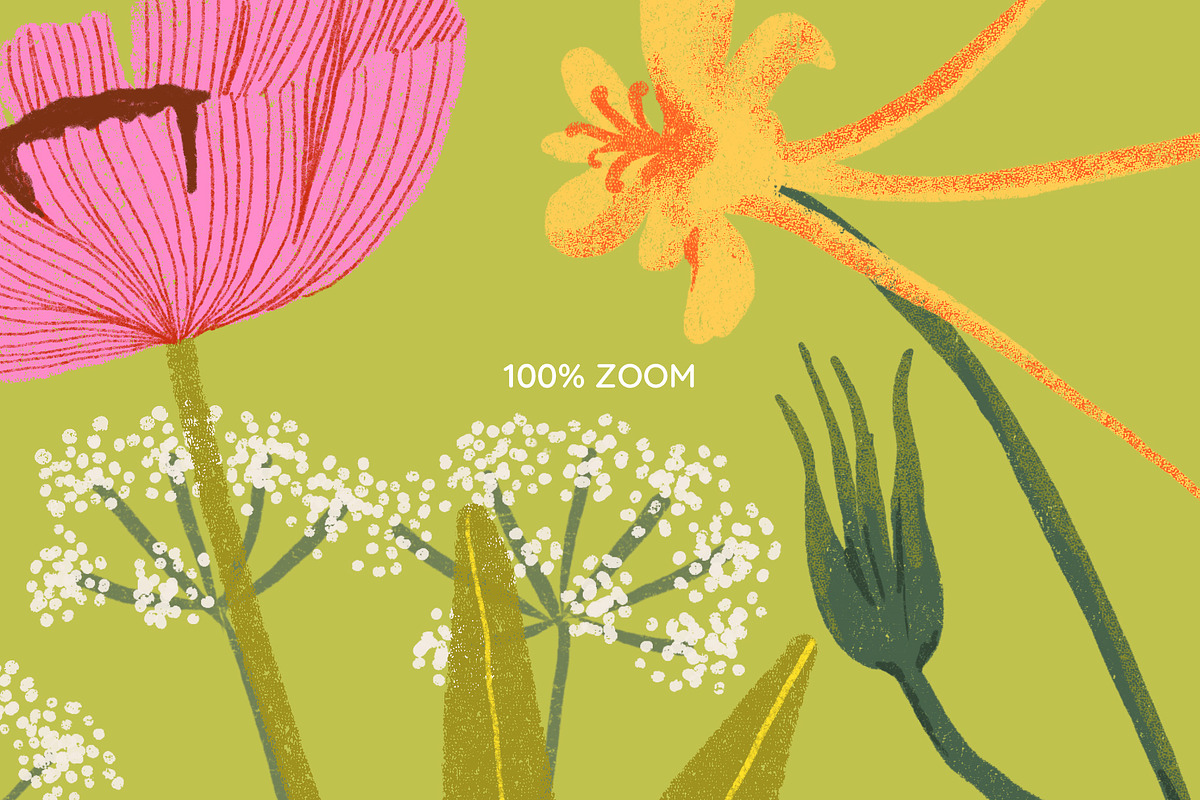 Summer Meadow Wildflower, a Decorative Illustration by Manimanisa (Photo 12 of 12)