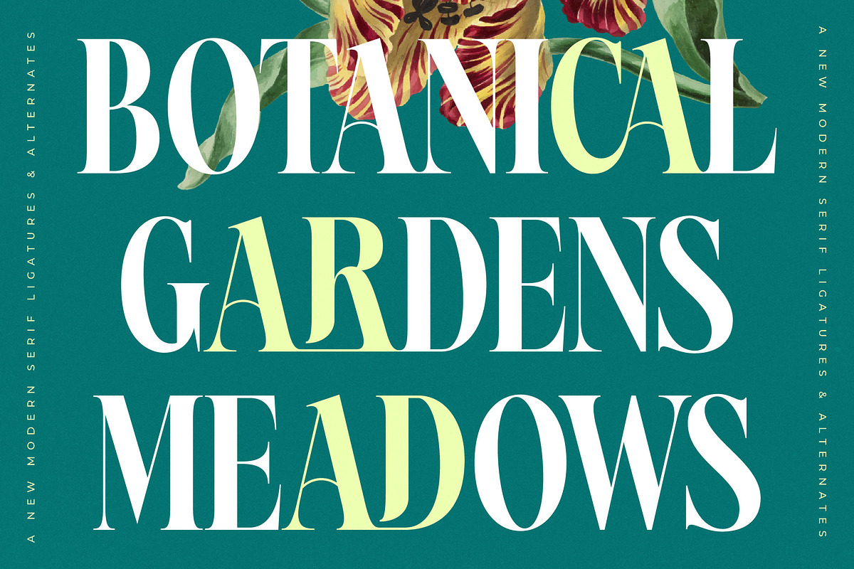 Magiction Modern Serif Display, a Serif Font by timelesstype.co (Photo 9 of 20)