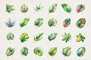 60 Watercolor Leaves Illustrations, a Decorative Illustration by Riswan Ratta (Thumbnail 3 of 5)