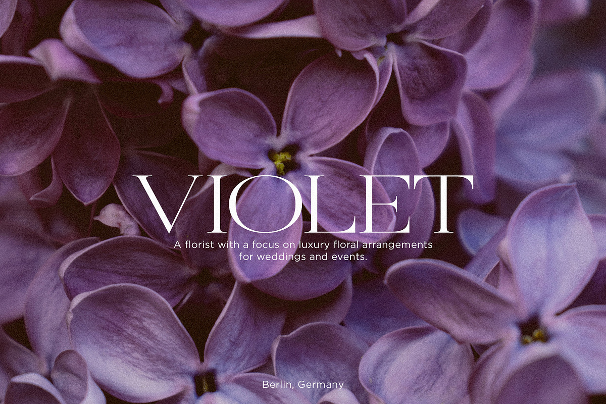 Velvet - Expanded & Elegant Serif, a Serif Font by Misha Sova (Photo 3 of 8)