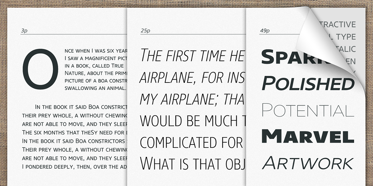 Core Sans N SC, a Sans Serif Font by S-Core (Photo 4 of 6)