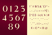 Lebronne - Serif Font, a Serif Font by Sronstudio (Thumbnail 10 of 11)