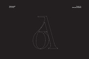 Vienna Modern Serif Font, a Serif Font by Fortunes Co (Thumbnail 4 of 15)