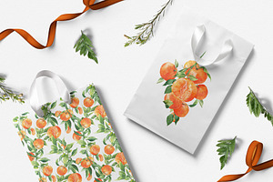 Citrus Watercolor Collection