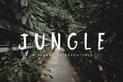 Jungle Display Font, a Script Font by Nadezda (Thumbnail 1 of 8)