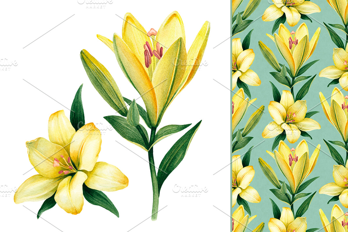 Illustrations of Lilies, a Texture Illustration by Sundra (Photo 4 of 10)