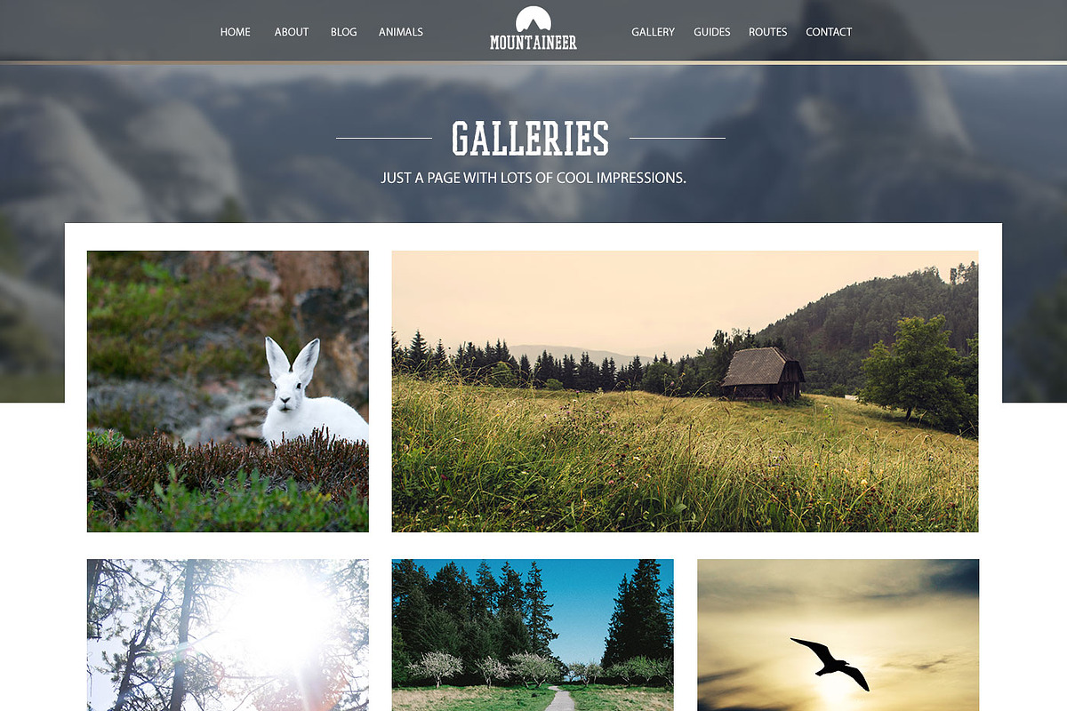 Mountaineer - Hiking and Wildlife, a Websites & App Template by Beavergraphy (Photo 5 of 5)