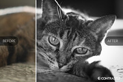 Noir & Blanc Lightroom Presets, an Action Add-On by Contrastly Shop (Thumbnail 2 of 3)