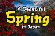 Hidetozhe - Asian Style Font Duo, a Font by nIznaztype (Thumbnail 3 of 6)