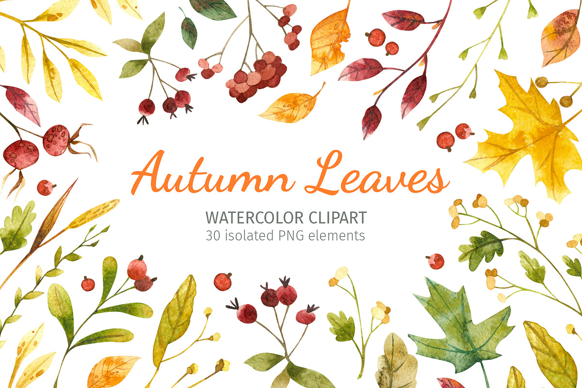 Autumn leaves. Fall clipart, an Object Graphic by Valin Malin (Photo 1 of 5)